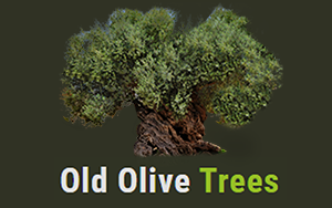 Old Olive Trees